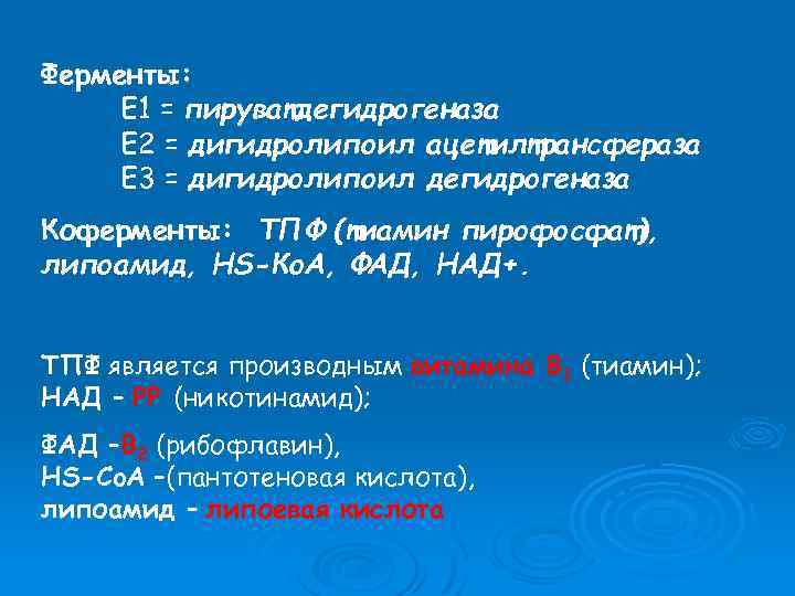 Ферменты: E 1 = пируватдегидрогеназа E 2 = дигидролипоил ацетилтрансфераза E 3 = дигидролипоил