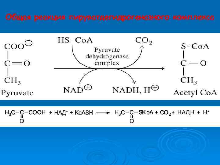 Общая реакция пируватдегидрогеназного комплекса 