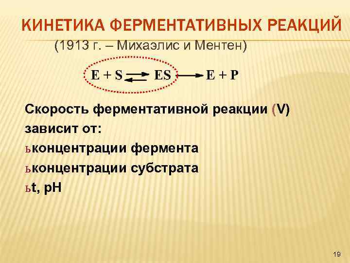 КИНЕТИКА ФЕРМЕНТАТИВНЫХ РЕАКЦИЙ (1913 г. – Михаэлис и Ментен) Скорость ферментативной реакции (V) зависит