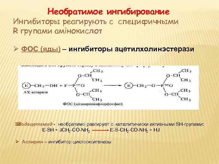 Необратимое ингибирование Ингибиторы реагирують с специфичными R групами амінокислот Ø ФОС (яды) – ингибиторы