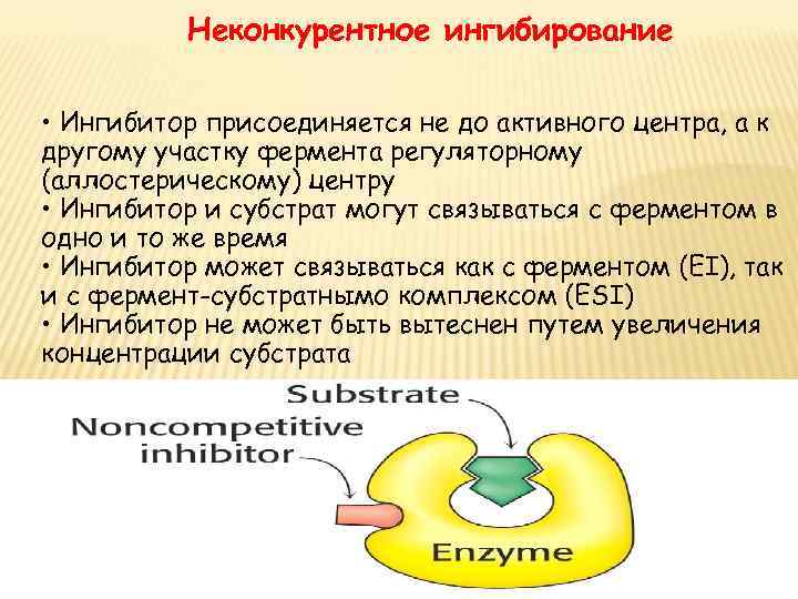 Ферментов аналог. Неконкурентные ингибиторы. Неконкурентное ингибирование ферментов. Неконкурентный блокатор это. Обратимое ингибирование ферментов примеры.