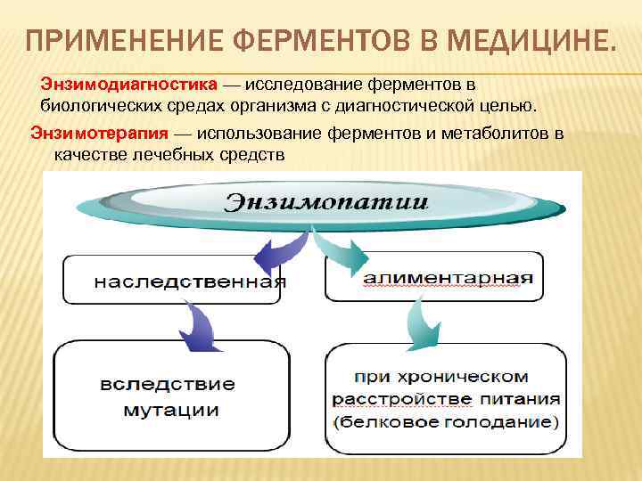 ПРИМЕНЕНИЕ ФЕРМЕНТОВ В МЕДИЦИНЕ. Энзимодиагностика — исследование ферментов в биологических средах организма с диагностической