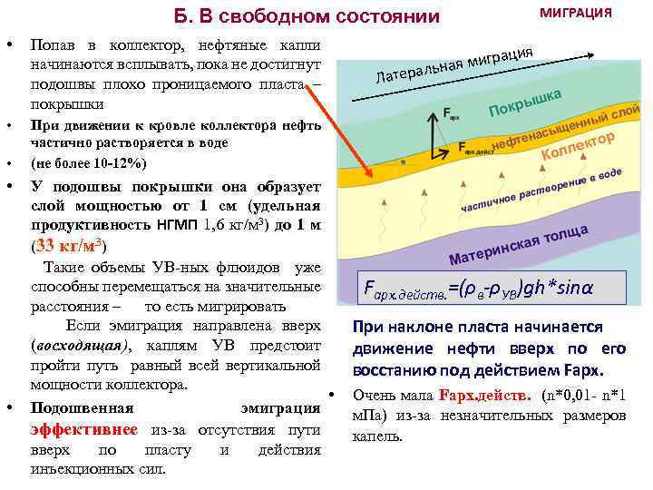 МИГРАЦИЯ Б. В свободном состоянии • • • Попав в коллектор, нефтяные капли начинаются