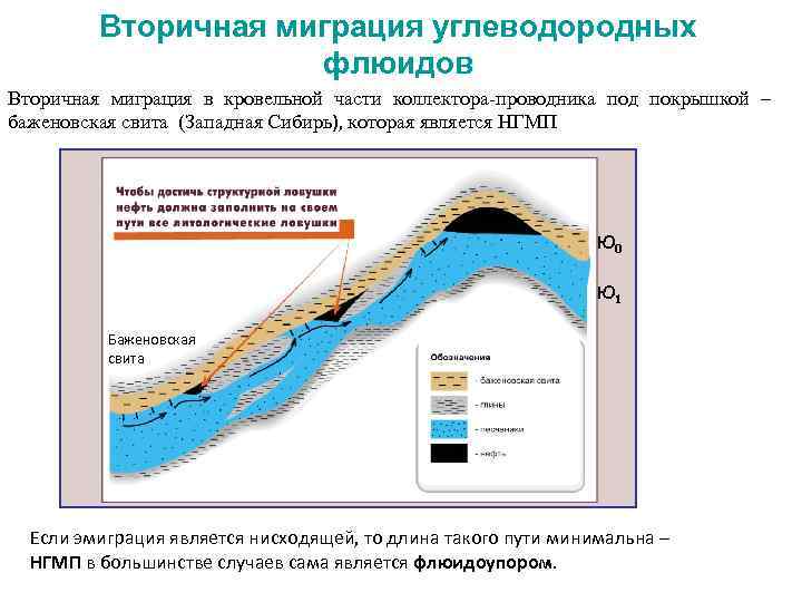 Миграция ув