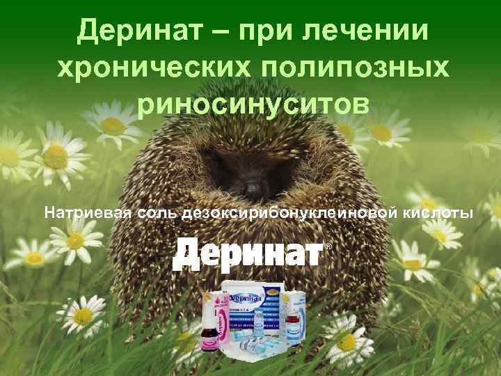 Деринат – при лечении хронических полипозных риносинуситов Натриевая соль дезоксирибонуклеиновой кислоты 