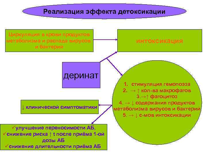  Реализация эффекта детоксикации Циркуляция в крови продуктов метаболизма и распада вирусов и бактерий