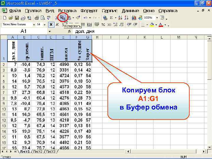 Копируем блок A 1: G 1 в Буфер обмена 