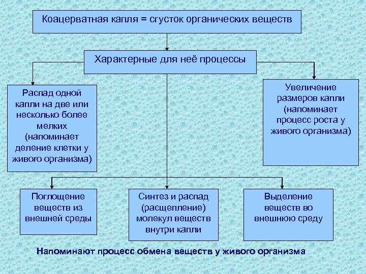 Коацерватная капля = сгусток органических веществ Характерные для неё процессы Увеличение размеров капли (напоминает