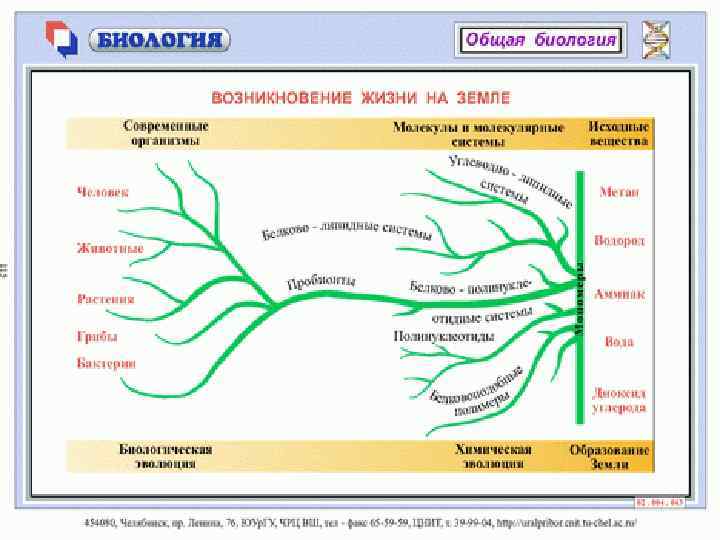 Используя ключевые слова параграфа постройте основу схемы ментальной карты показывающей гипотезы