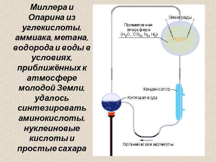 Миллера и Опарина из углекислоты, аммиака, метана, водорода и воды в условиях, приближённых к