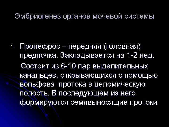 Эмбриогенез органов мочевой системы 1. Пронефрос – передняя (головная) предпочка. Закладывается на 1 -2