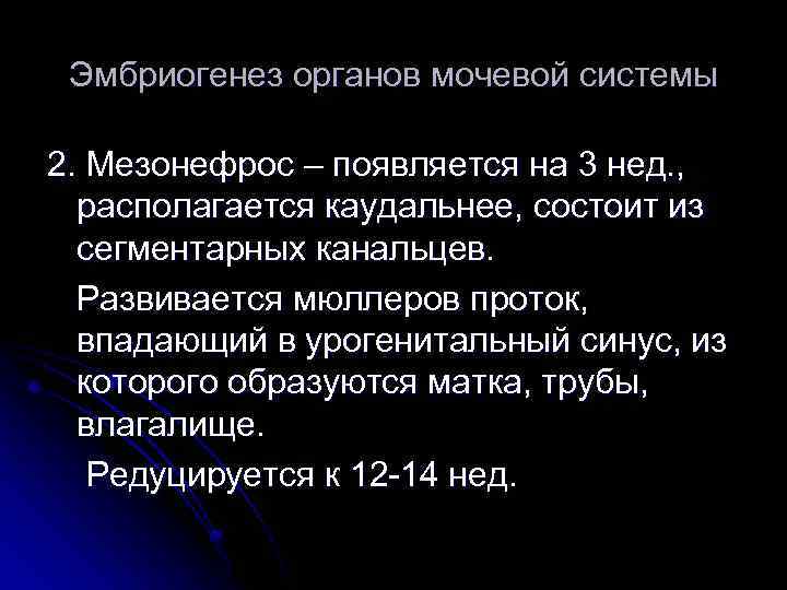 Эмбриогенез органов мочевой системы 2. Мезонефрос – появляется на 3 нед. , располагается каудальнее,