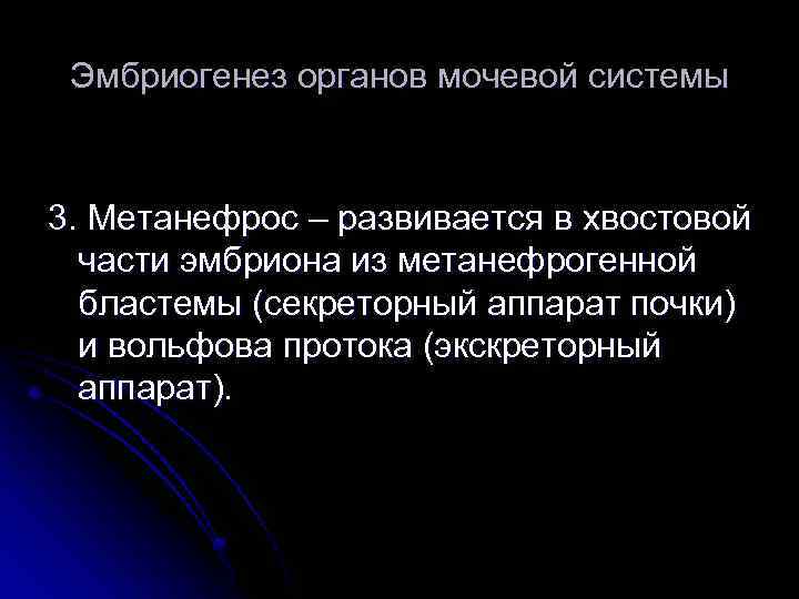 Эмбриогенез органов мочевой системы 3. Метанефрос – развивается в хвостовой части эмбриона из метанефрогенной