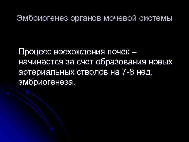 Эмбриогенез органов мочевой системы Процесс восхождения почек – начинается за счет образования новых артериальных