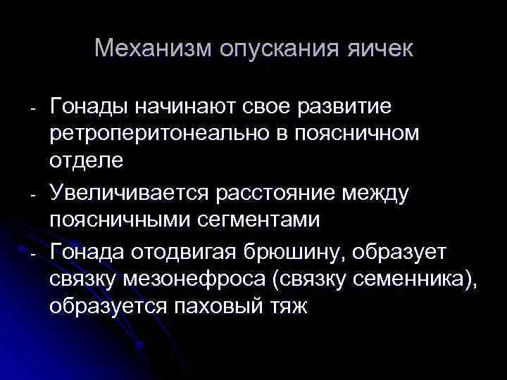 Механизм опускания яичек - - Гонады начинают свое развитие ретроперитонеально в поясничном отделе Увеличивается