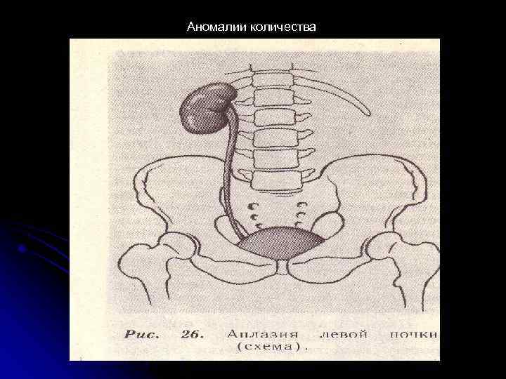 Аномалии количества 