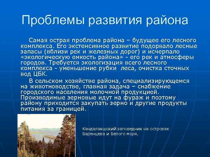 Проблемы развития района Самая острая проблема района – будущее его лесного комплекса. Его экстенсивное