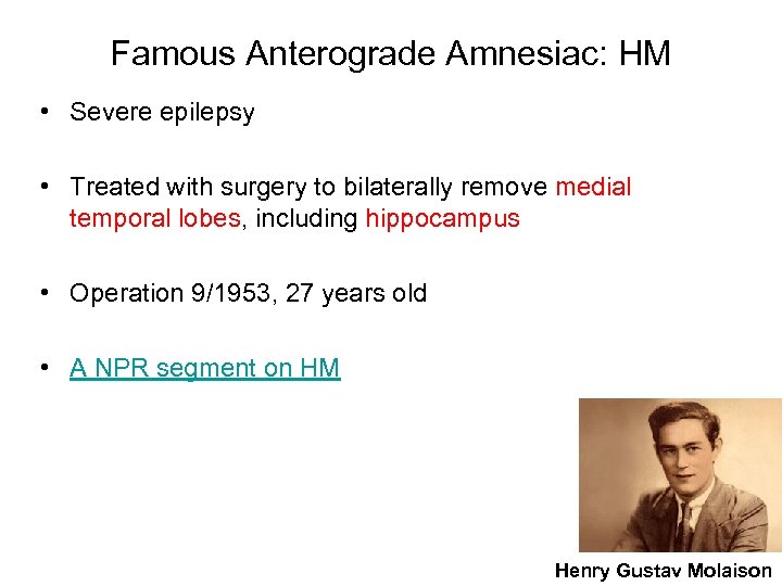 Famous Anterograde Amnesiac: HM • Severe epilepsy • Treated with surgery to bilaterally remove