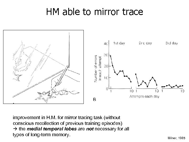 HM able to mirror trace improvement in H. M. for mirror tracing task (without