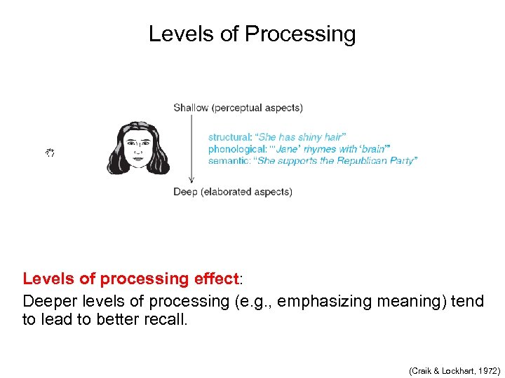 Levels of Processing Levels of processing effect: Deeper levels of processing (e. g. ,