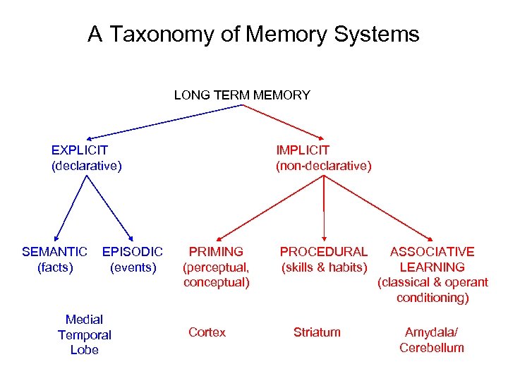 A Taxonomy of Memory Systems LONG TERM MEMORY EXPLICIT (declarative) SEMANTIC (facts) EPISODIC (events)