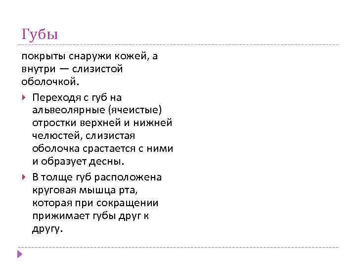 Губы покрыты снаружи кожей, а внутри — слизистой оболочкой. Переходя с губ на альвеолярные