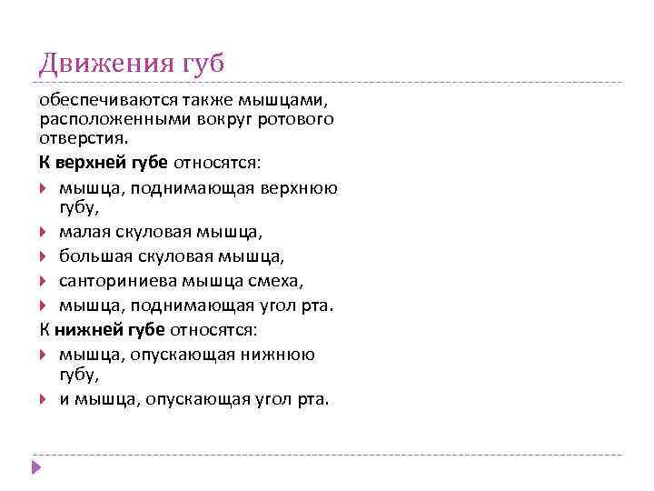 Движения губ обеспечиваются также мышцами, расположенными вокруг ротового отверстия. К верхней губе относятся: мышца,