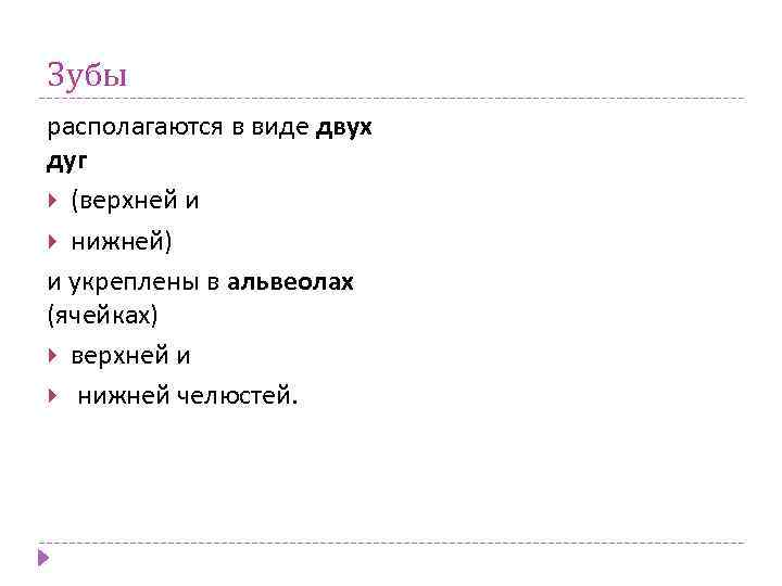 Зубы располагаются в виде двух дуг (верхней и нижней) и укреплены в альвеолах (ячейках)