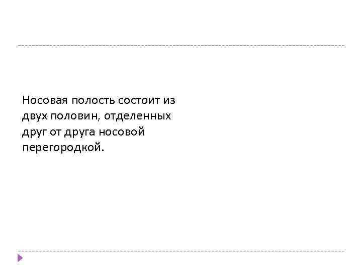 Носовая полость состоит из двух половин, отделенных друг от друга носовой перегородкой. 