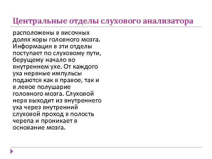 Центральные отделы слухового анализатора расположены в височных долях коры головного мозга. Информация в эти