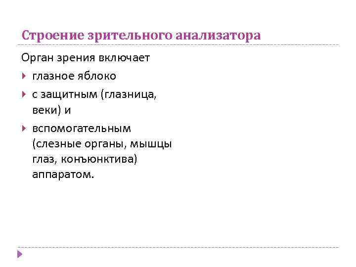 Строение зрительного анализатора Орган зрения включает глазное яблоко с защитным (глазница, веки) и вспомогательным