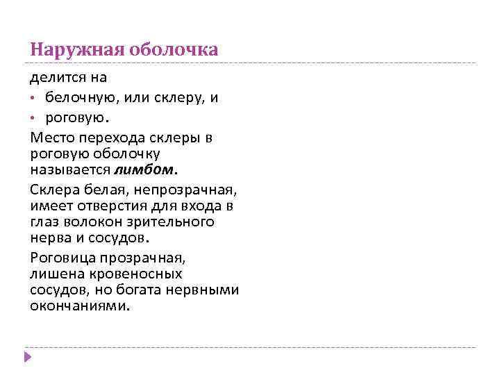 Наружная оболочка делится на • белочную, или склеру, и • роговую. Место перехода склеры