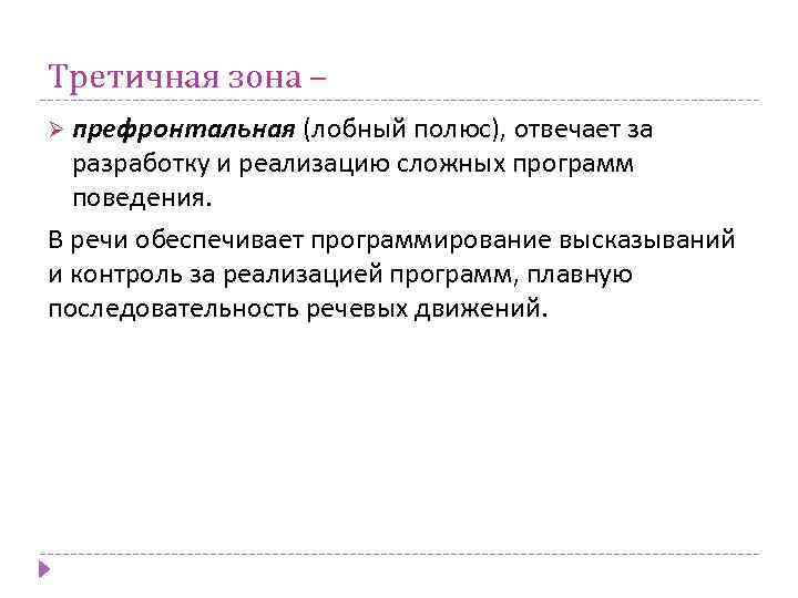 Третичная зона – Ø префронтальная (лобный полюс), отвечает за разработку и реализацию сложных программ