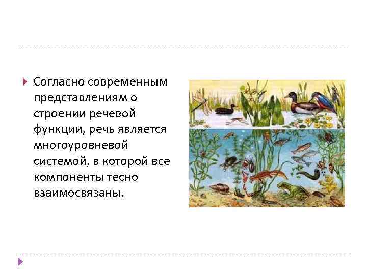  Согласно современным представлениям о строении речевой функции, речь является многоуровневой системой, в которой