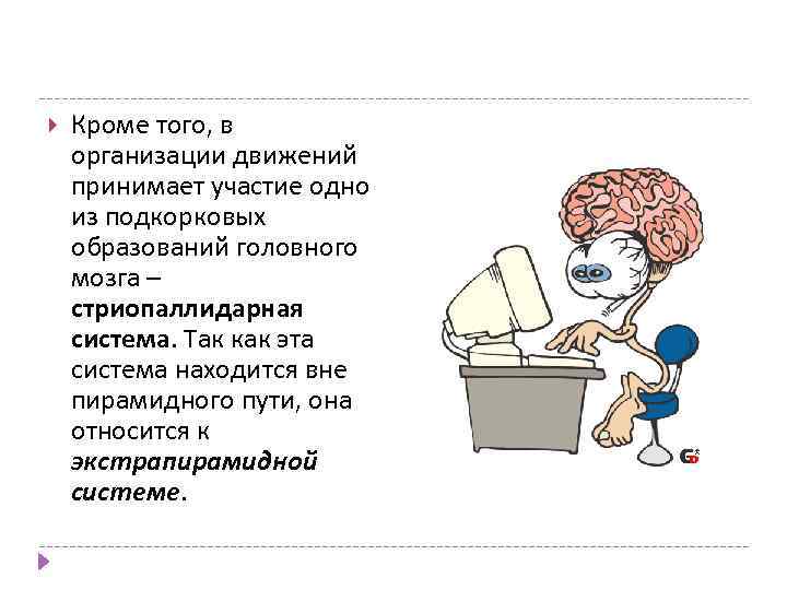  Кроме того, в организации движений принимает участие одно из подкорковых образований головного мозга