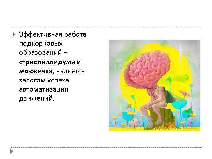  Эффективная работа подкорковых образований – стриопаллидума и мозжечка, является залогом успеха автоматизации движений.