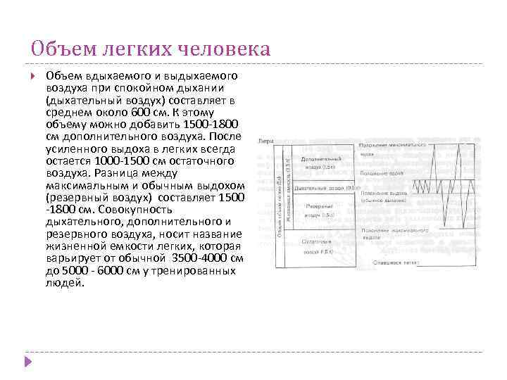 Объем легких человека Объем вдыхаемого и выдыхаемого воздуха при спокойном дыхании (дыхательный воздух) составляет