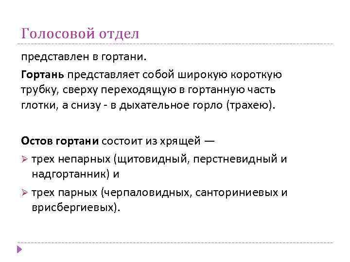 Голосовой отдел представлен в гортани. Гортань представляет собой широкую короткую трубку, сверху переходящую в