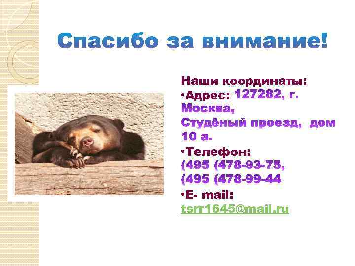 Наши координаты: • Адрес: • Телефон: • Е- mail: tsrr 1645@mail. ru 