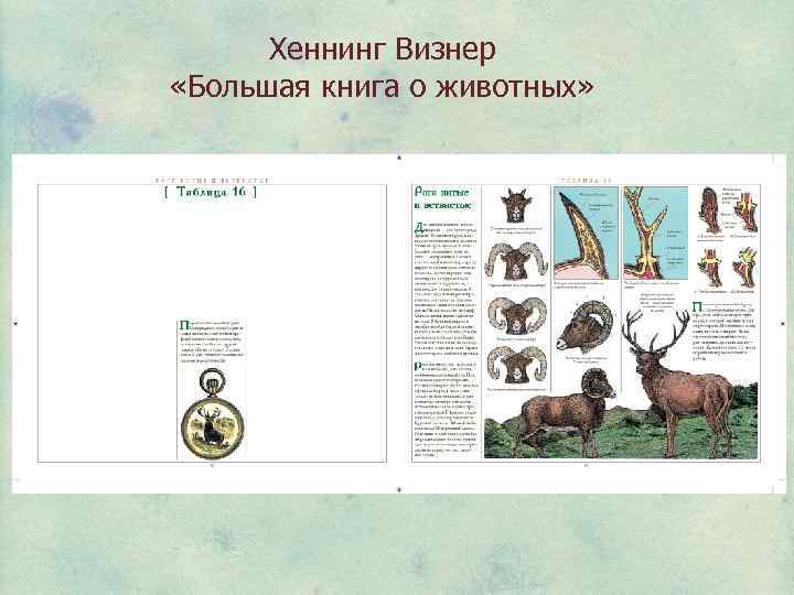 Хеннинг Визнер «Большая книга о животных» 