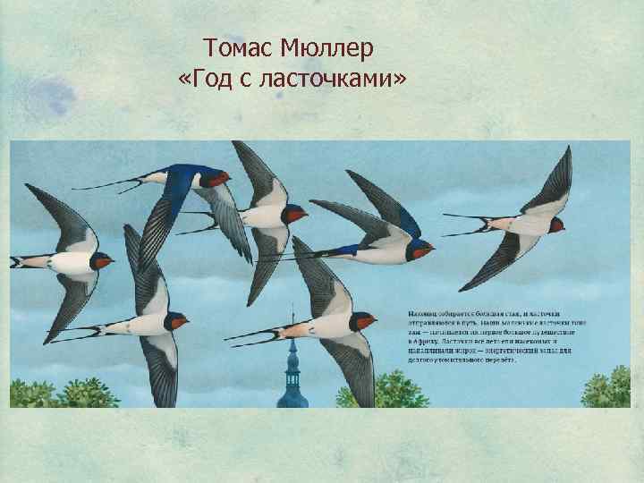 Томас Мюллер «Год с ласточками» 