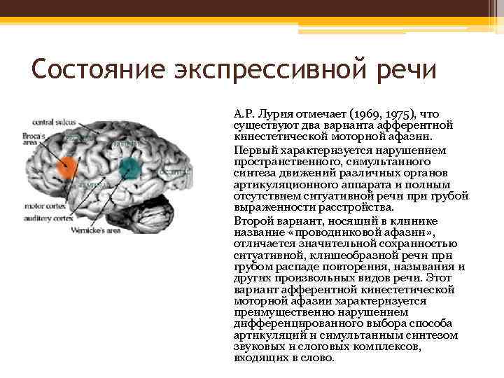 Состояние экспрессивной речи А. Р. Лурия отмечает (1969, 1975), что существуют два варианта афферентной