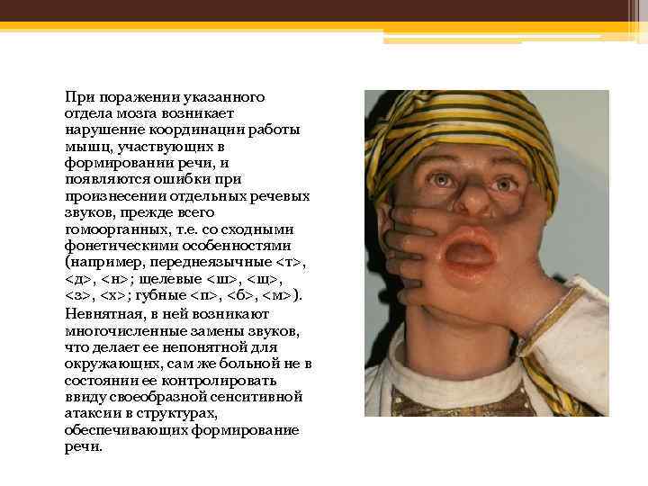 При поражении указанного отдела мозга возникает нарушение координации работы мышц, участвующих в формировании речи,