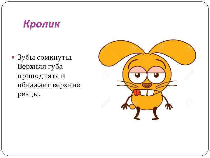 Кролик Зубы сомкнуты. Верхняя губа приподнята и обнажает верхние резцы. 