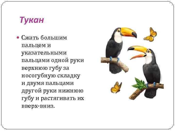 Тукан Сжать большим пальцем и указательными пальцами одной руки верхнюю губу за носогубную складку