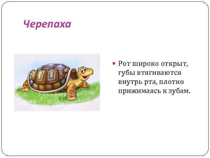 Черепаха Рот широко открыт, губы втягиваются внутрь рта, плотно прижимаясь к зубам. 