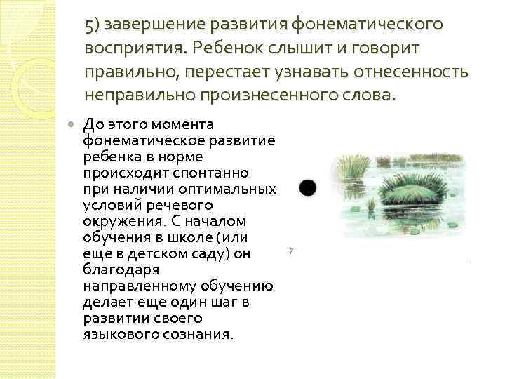 5) завершение развития фонематического восприятия. Ребенок слышит и говорит правильно, перестает узнавать отнесенность неправильно