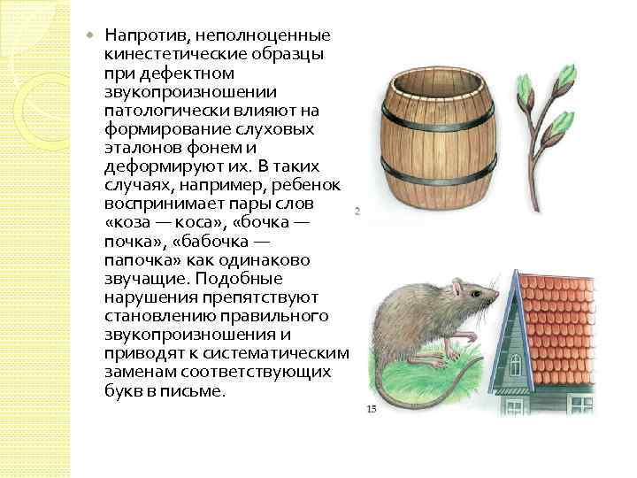 Напротив, неполноценные кинестетические образцы при дефектном звукопроизношении патологически влияют на формирование слуховых эталонов