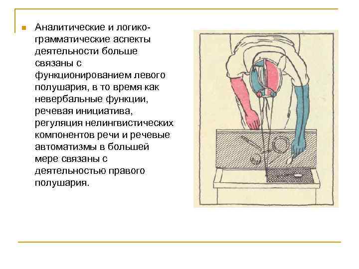 n Аналитические и логикограмматические аспекты деятельности больше связаны с функционированием левого полушария, в то
