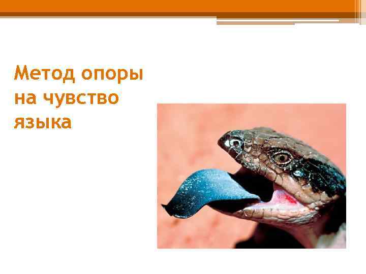 Метод опоры на чувство языка 